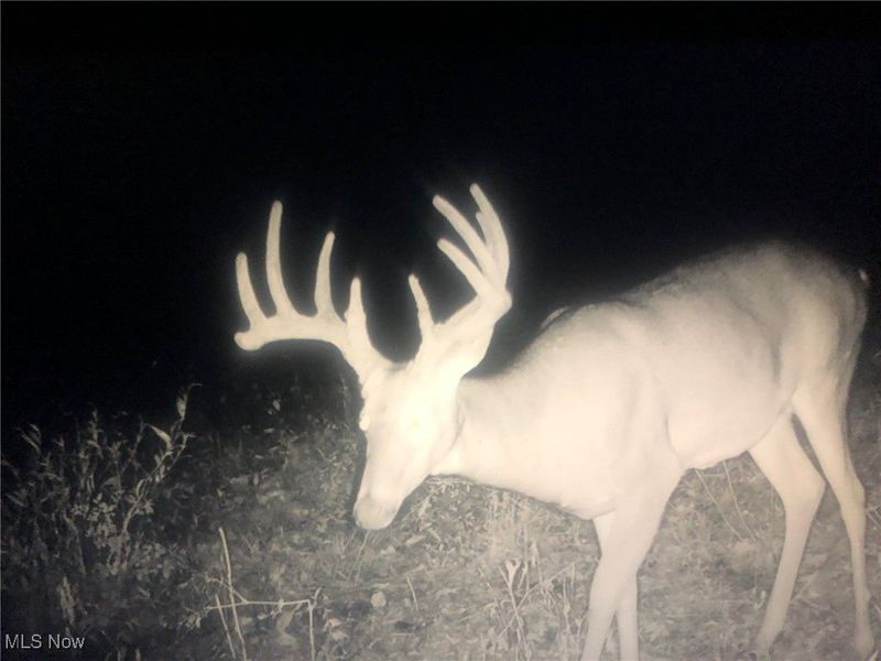 0 State Route 78, Summerfield, OH 43788 Photo 37