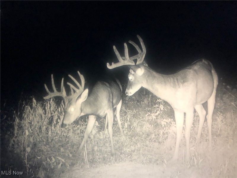 0 State Route 78, Summerfield, OH 43788 Photo 38