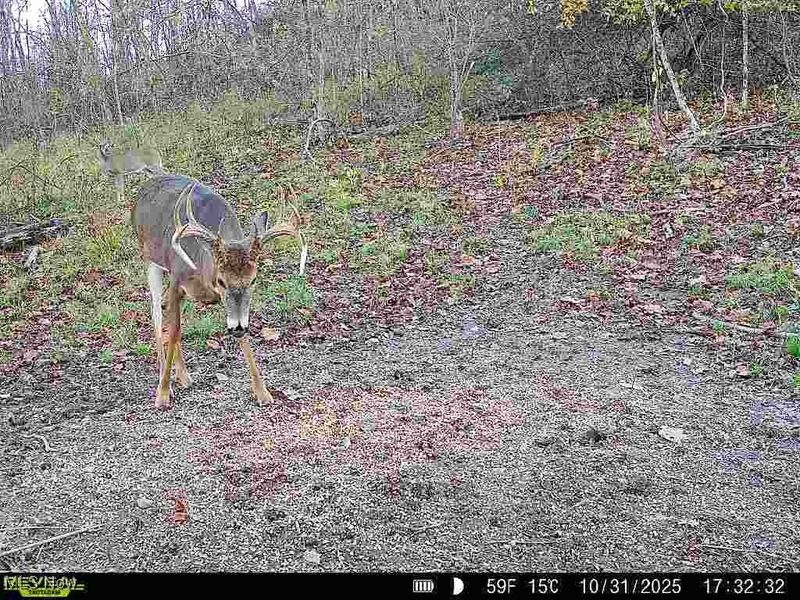 0 State Route 78, Summerfield, OH 43788 Photo 39