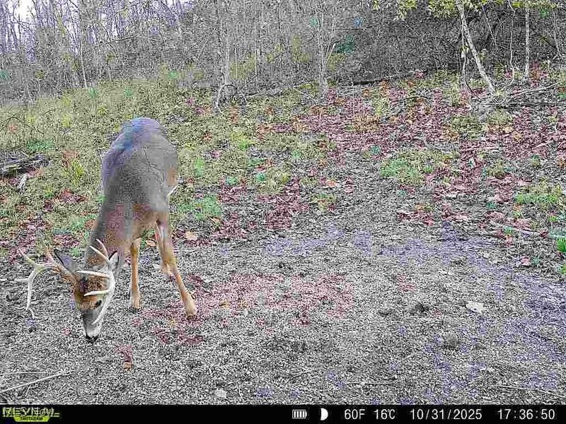 0 State Route 78, Summerfield, OH 43788 Photo 41