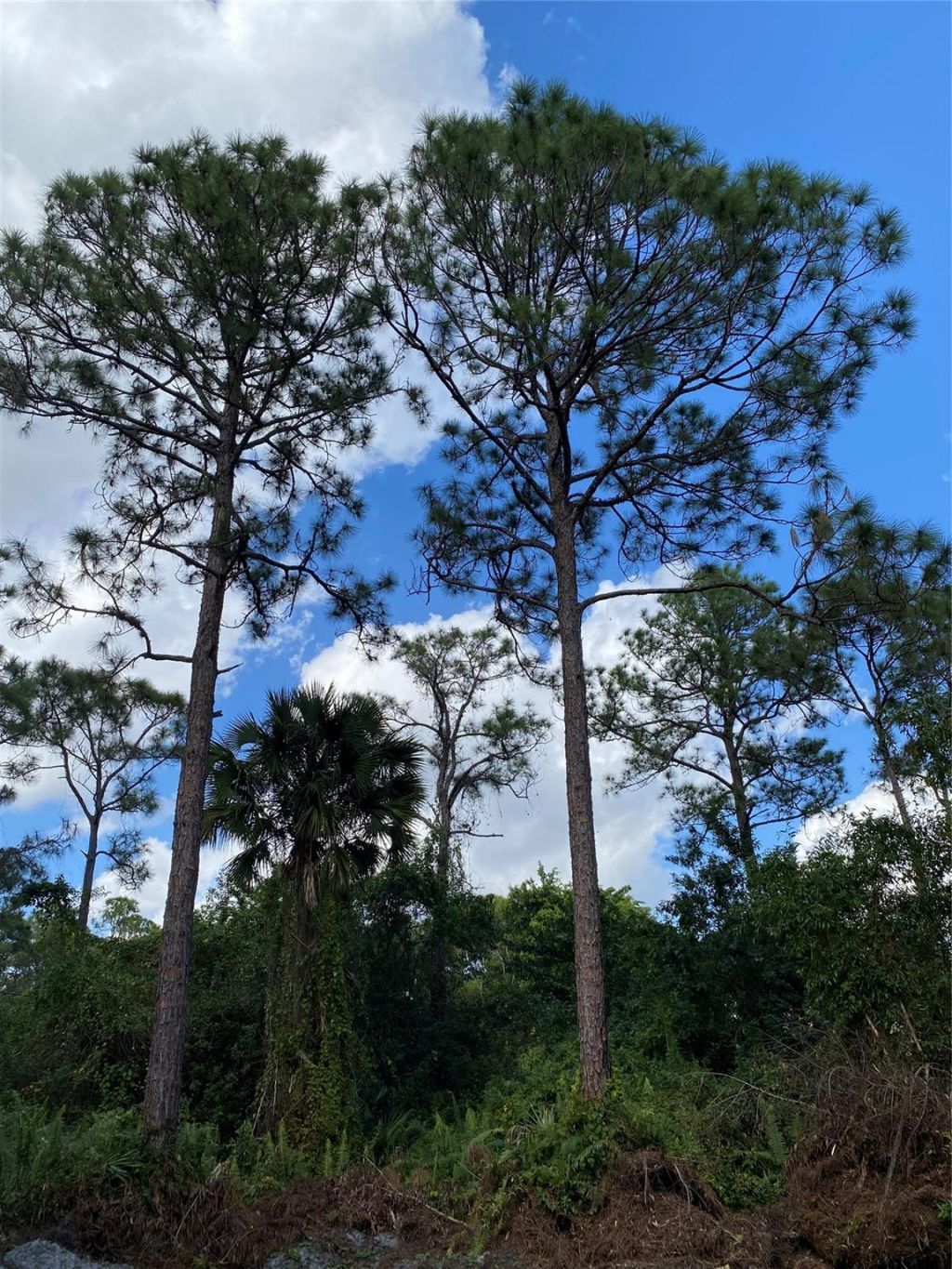 17987 32nd Lane, Loxahatchee, FL 33470 Photo