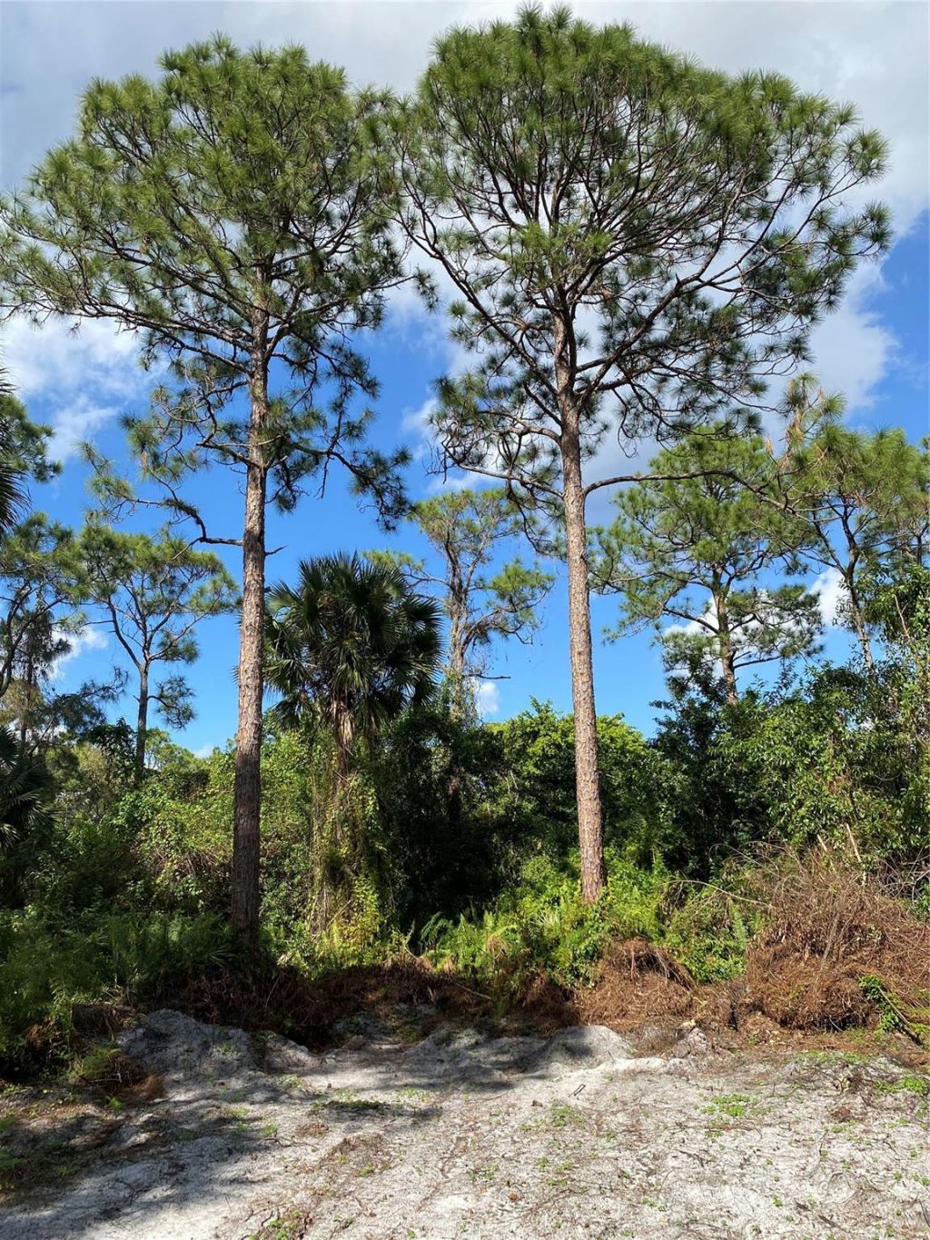 17987 32nd Lane, Loxahatchee, FL 33470 Photo