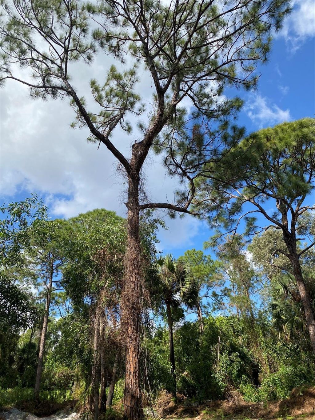 17987 32nd Lane, Loxahatchee, FL 33470 Photo