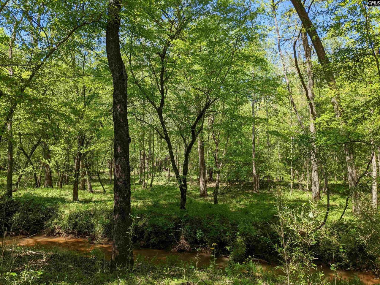 Old Hillcrest School Road Photo 10