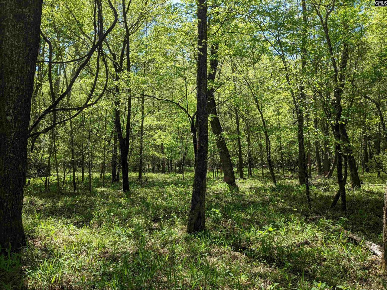 Old Hillcrest School Road Photo 11