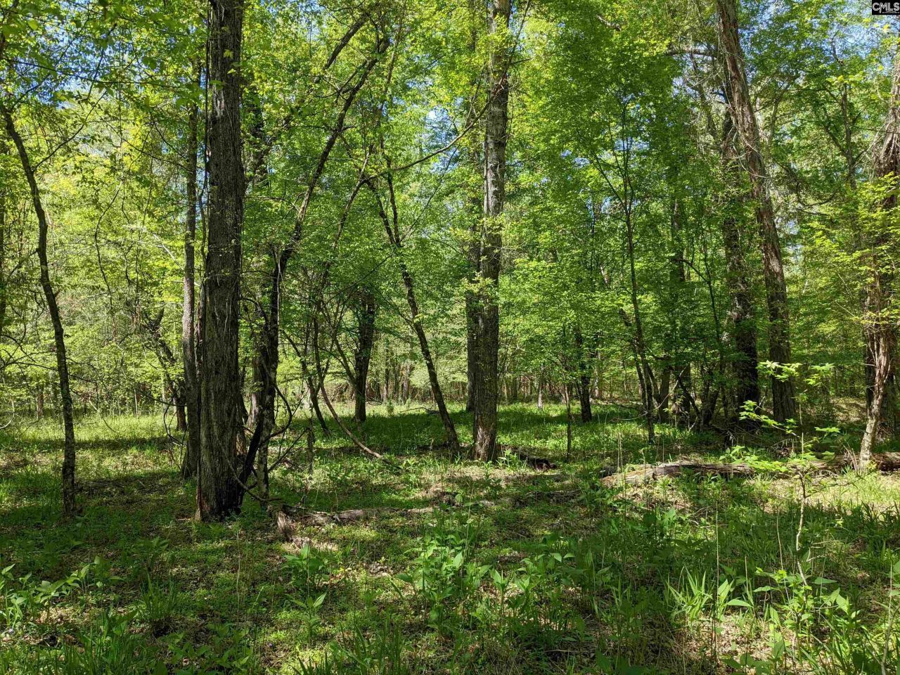 Old Hillcrest School Road Photo 12