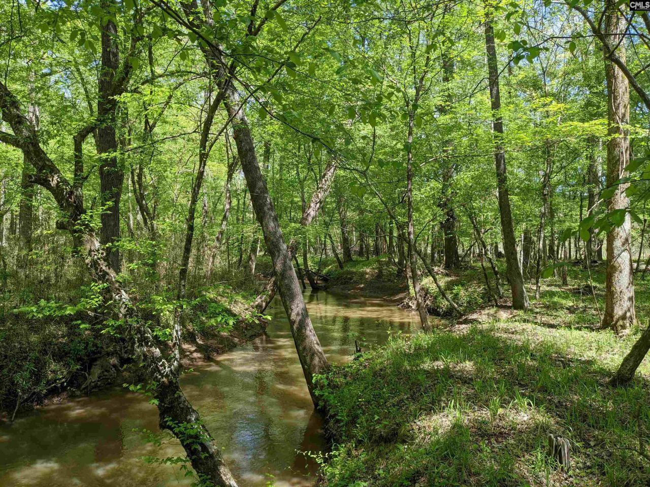 Old Hillcrest School Road Photo 13