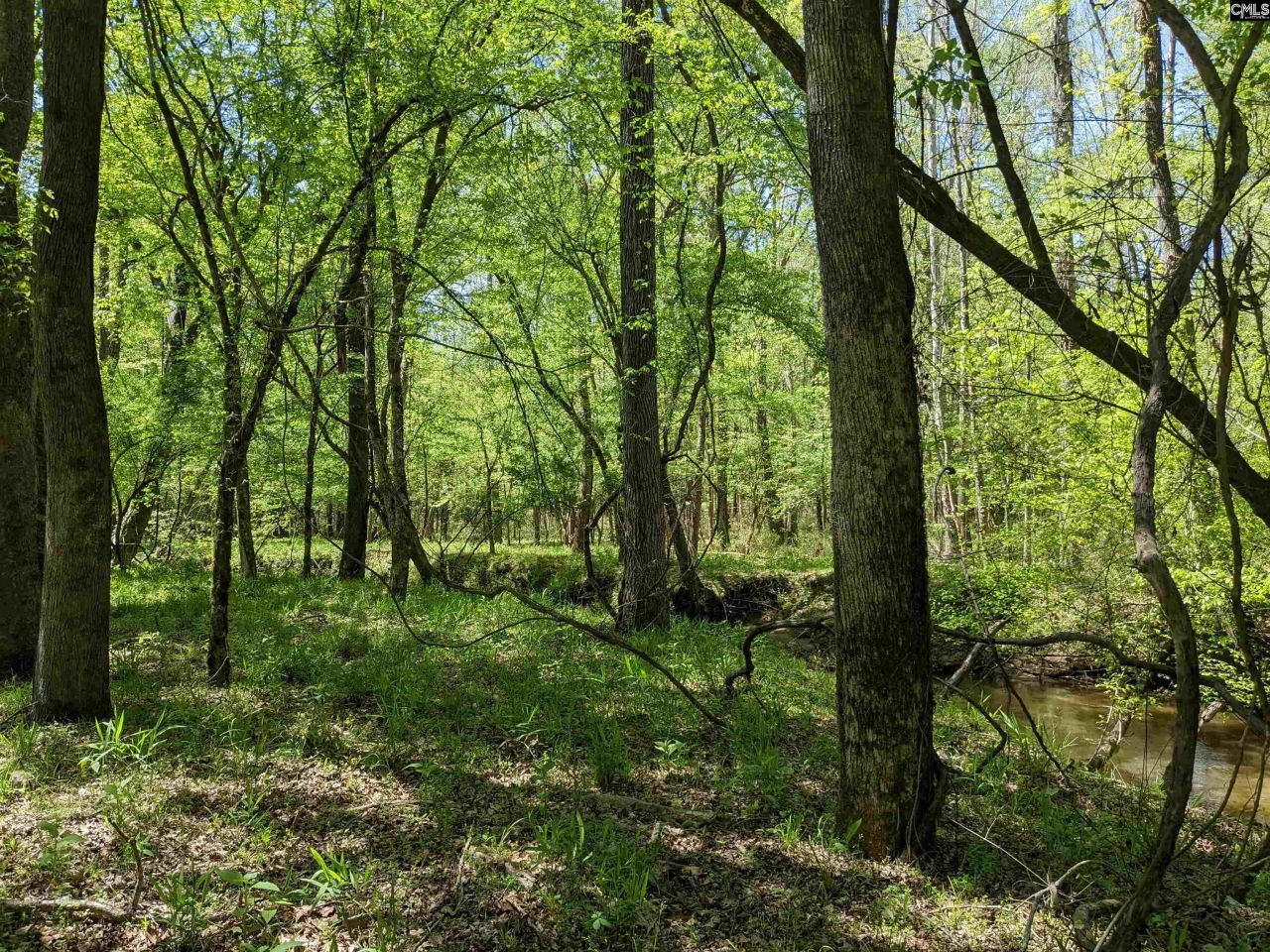 Old Hillcrest School Road Photo 16