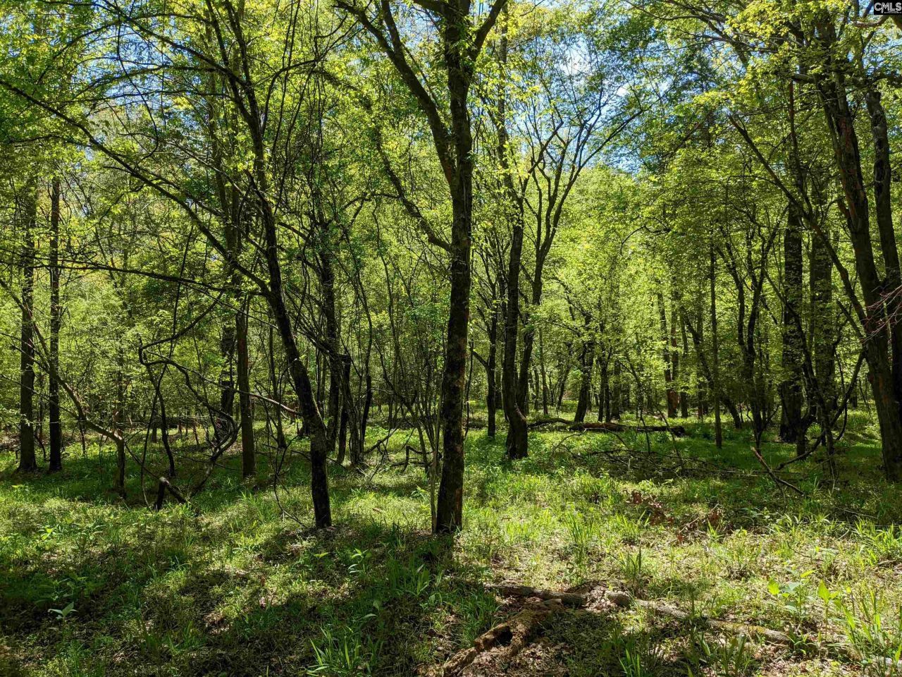 Old Hillcrest School Road Photo 17