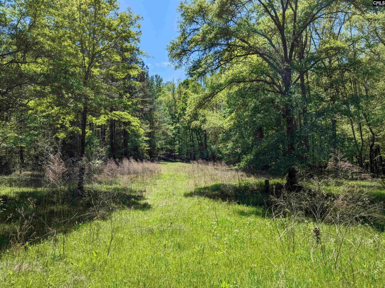 Old Hillcrest School Road Photo 18