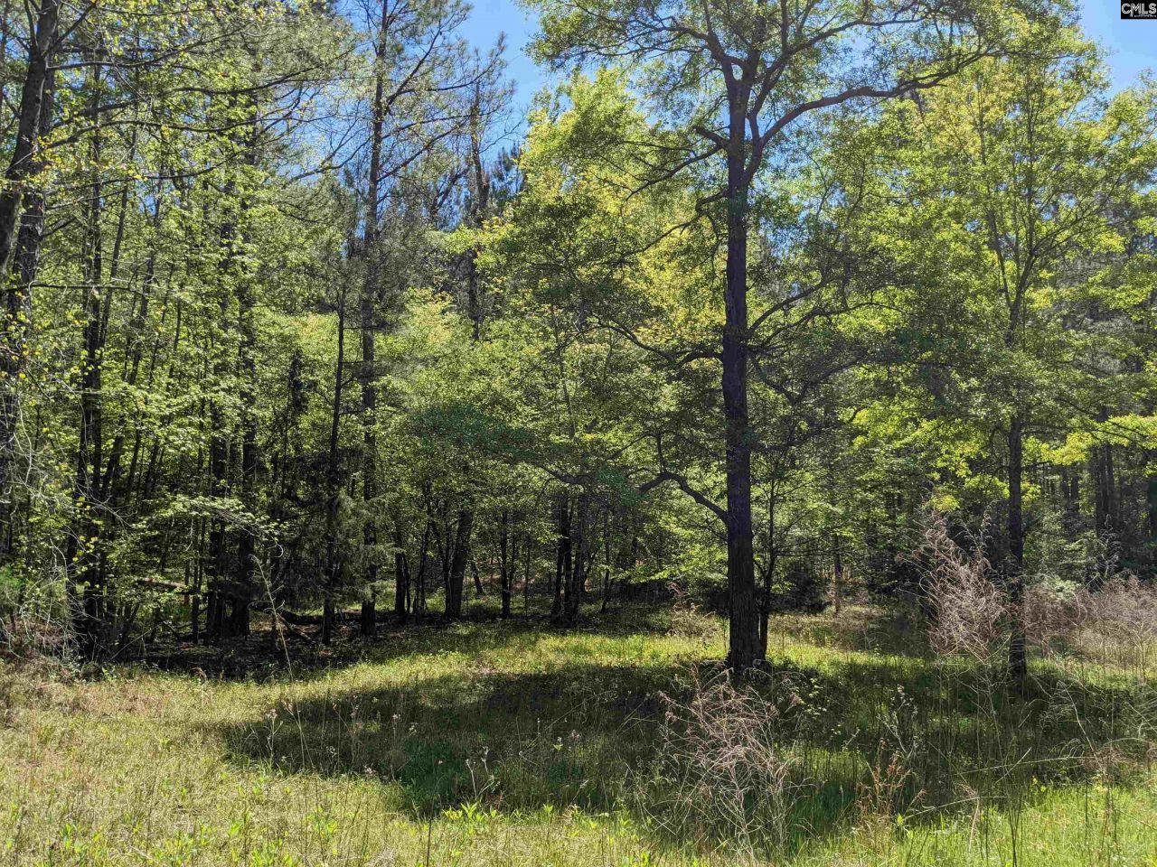 Old Hillcrest School Road Photo 19