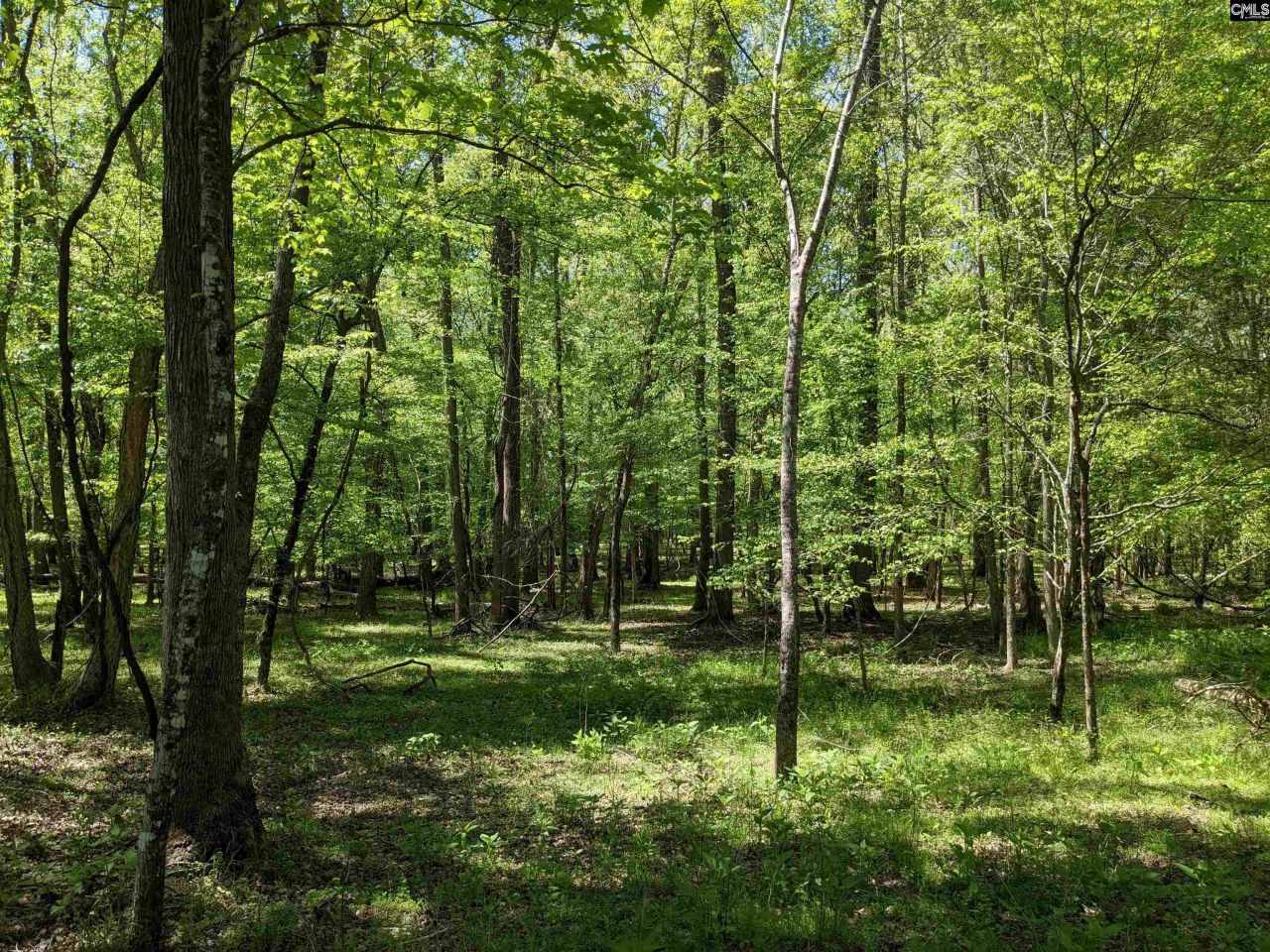 Old Hillcrest School Road Photo 20