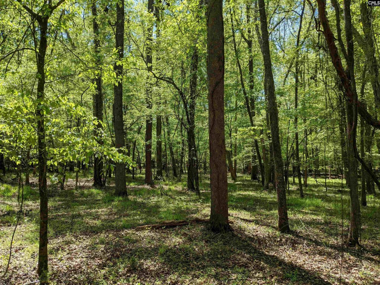 Old Hillcrest School Road Photo 21