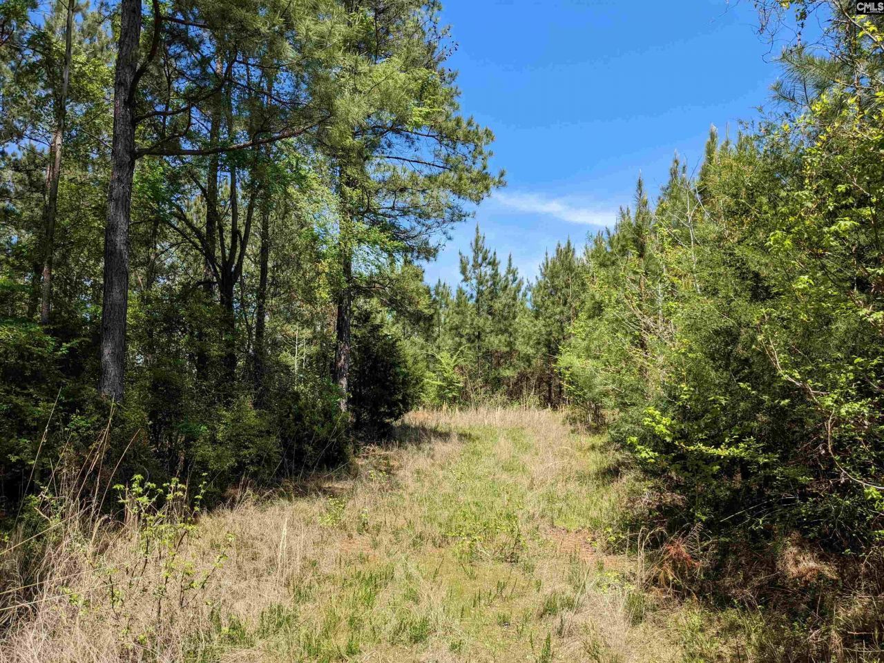 Old Hillcrest School Road Photo 22