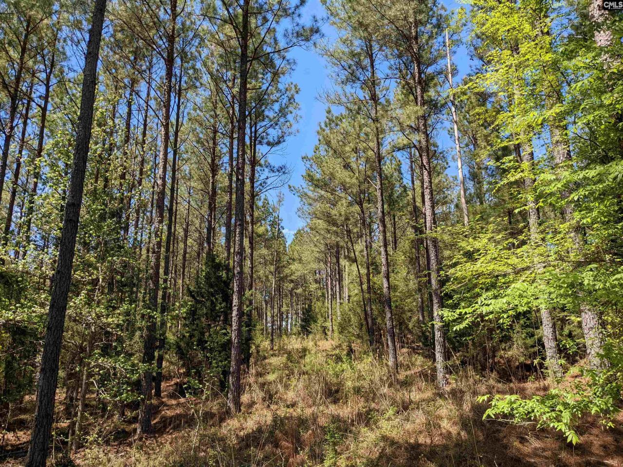 Old Hillcrest School Road Photo 23