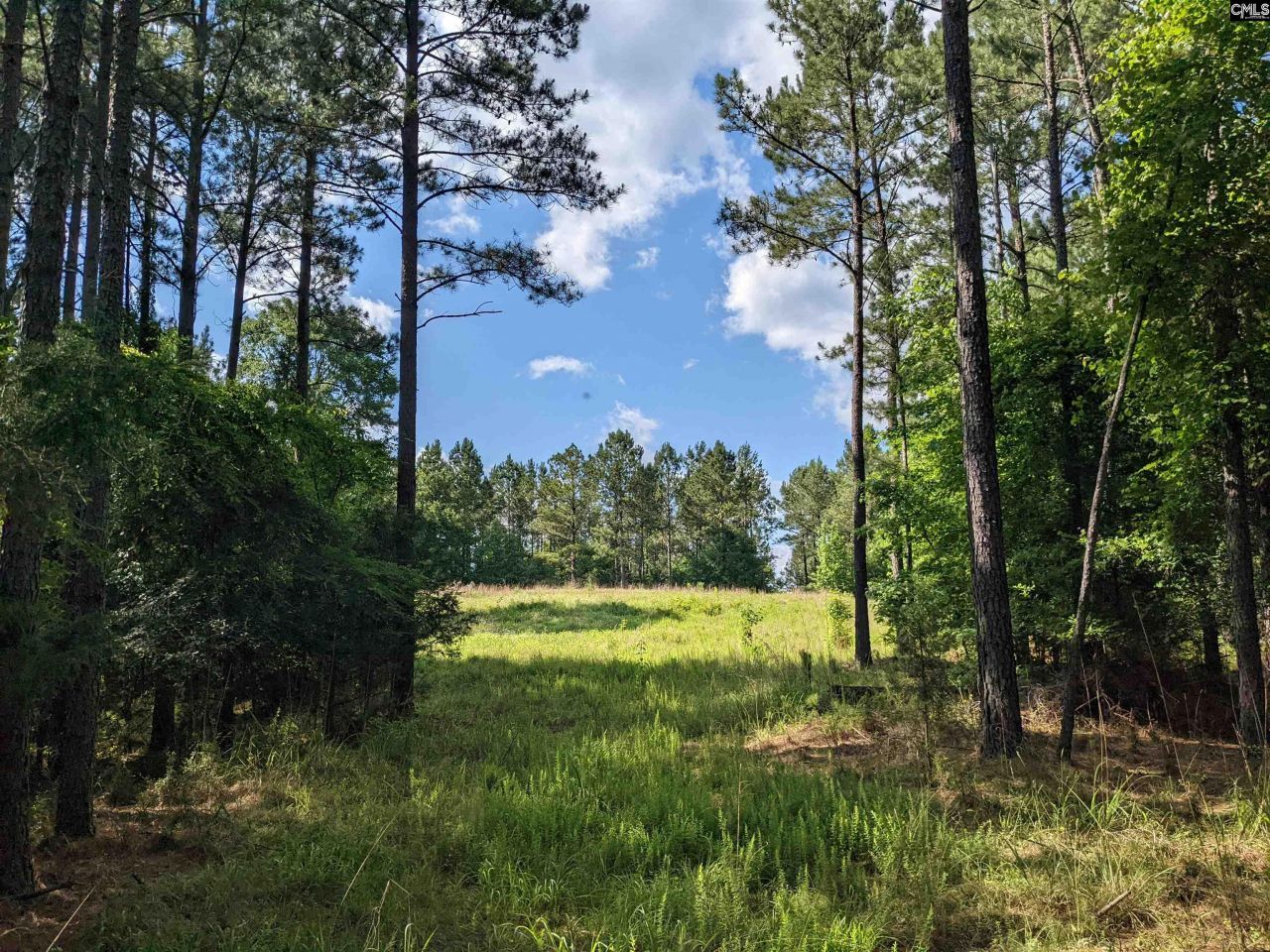 Old Hillcrest School Road Photo 24