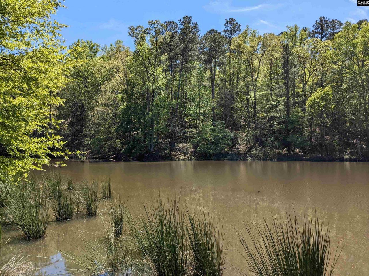 Old Hillcrest School Road Photo 26