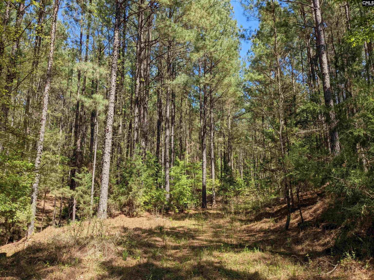 Old Hillcrest School Road Photo 27