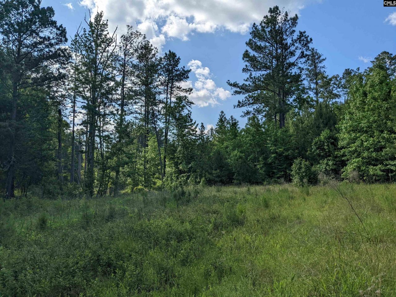 Old Hillcrest School Road Photo 28