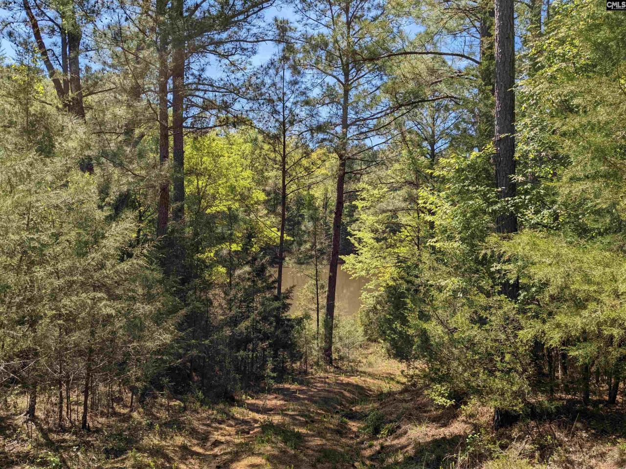 Old Hillcrest School Road Photo 31