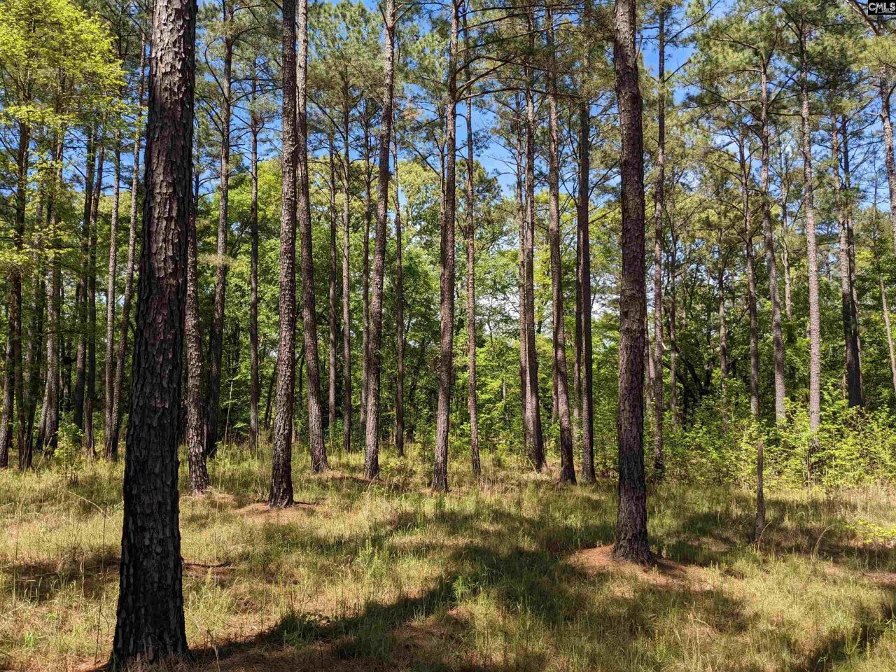 Old Hillcrest School Road Photo 33