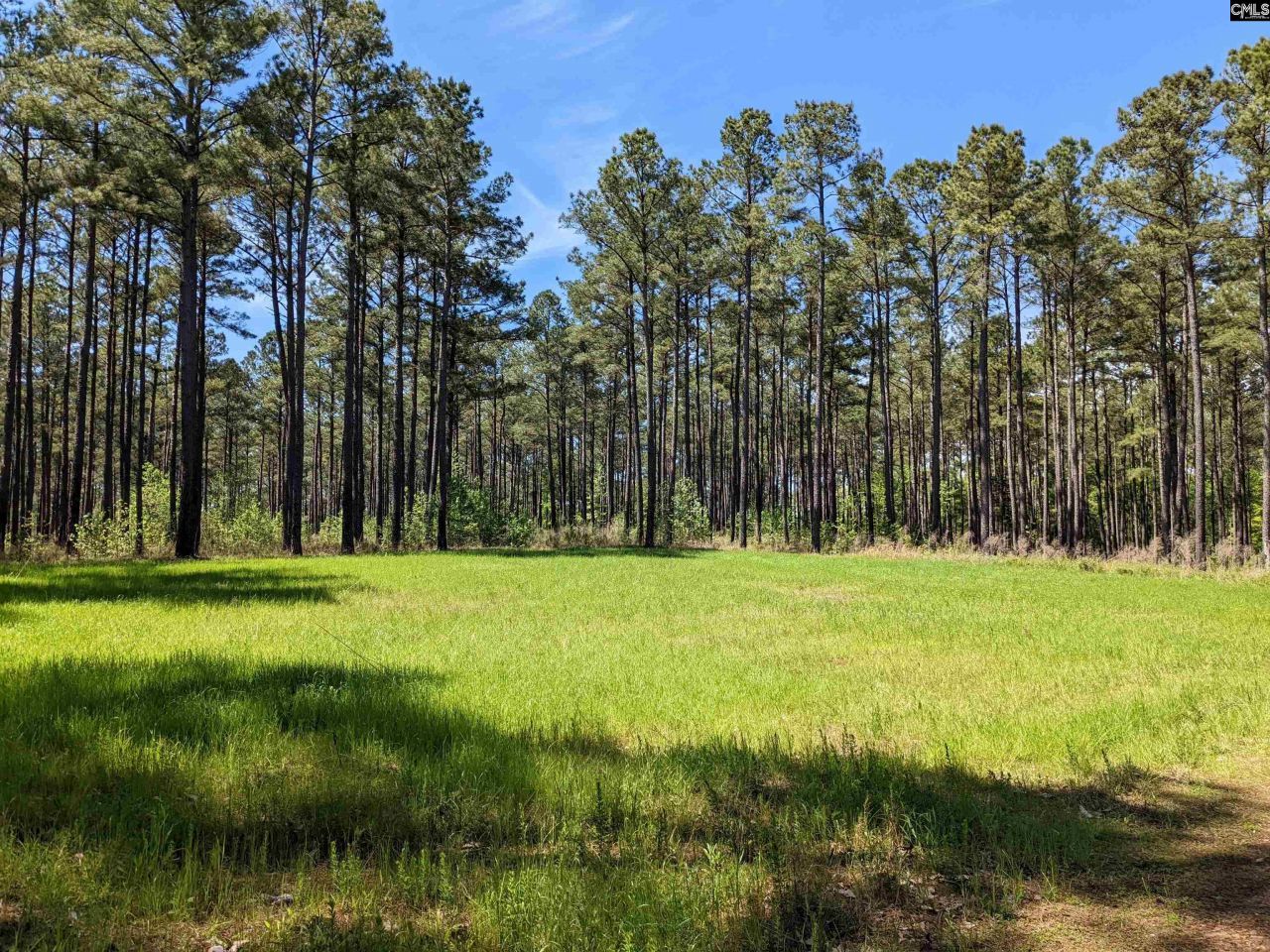 Old Hillcrest School Road Photo 35