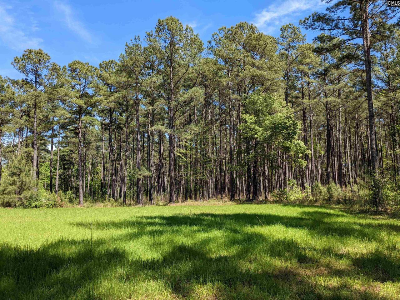 Old Hillcrest School Road Photo 36