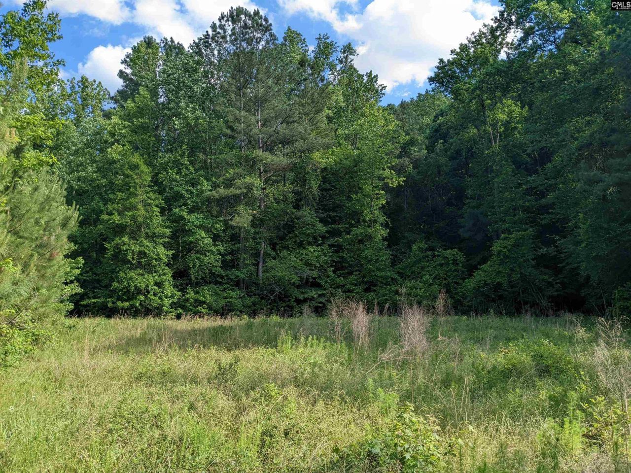 Old Hillcrest School Road Photo 37