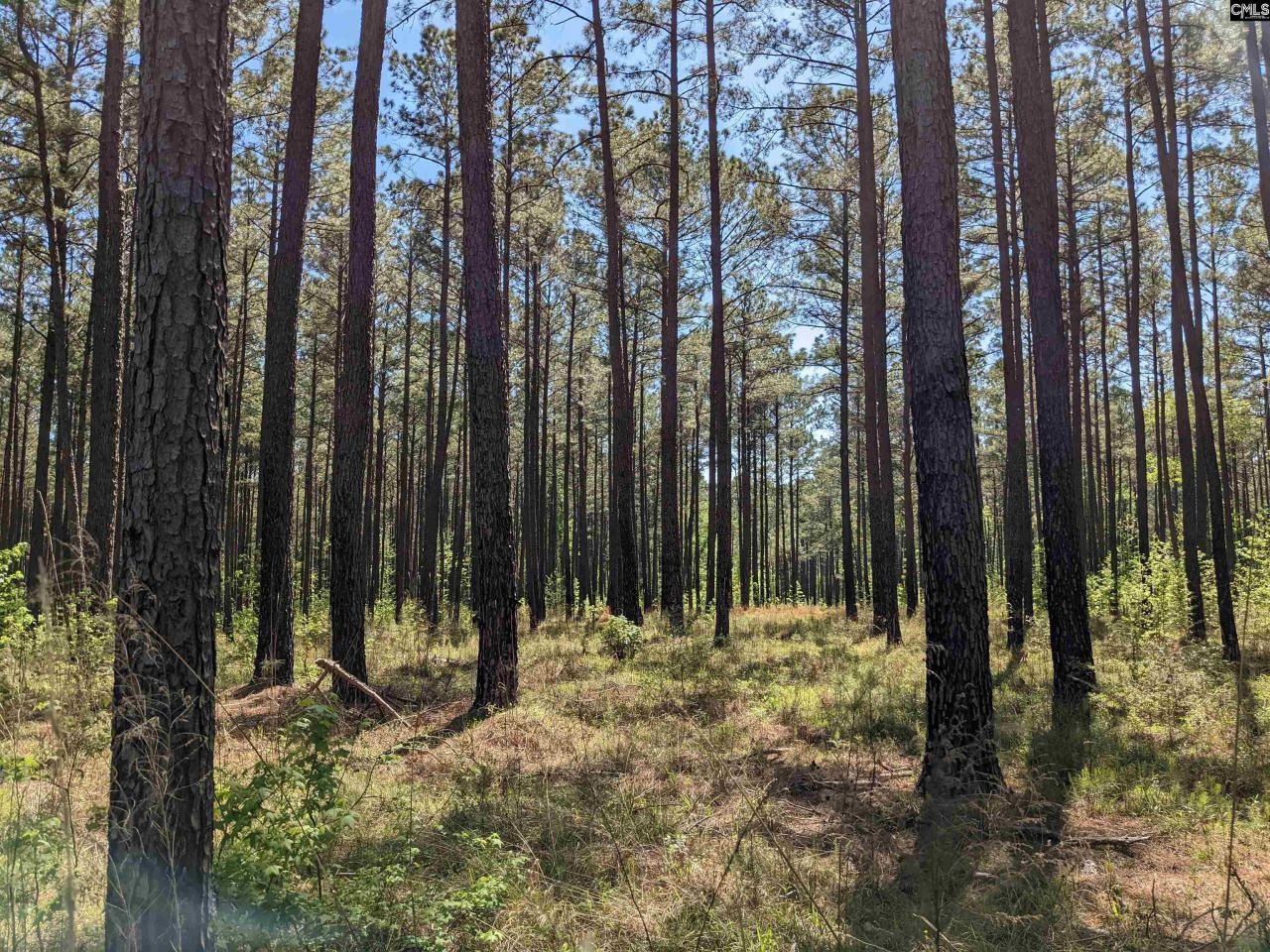 Old Hillcrest School Road Photo 38