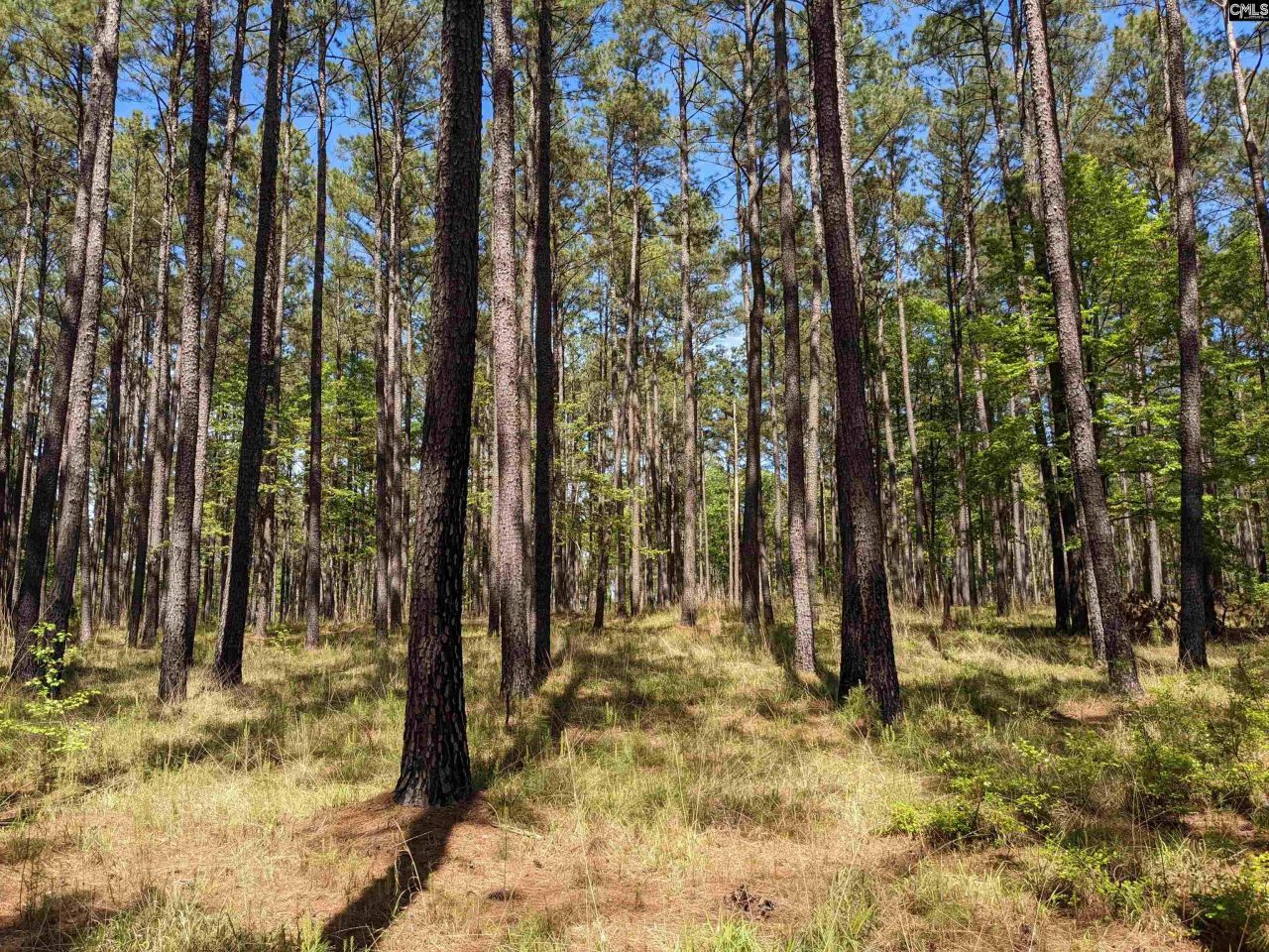 Old Hillcrest School Road Photo 39