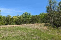 Old Hillcrest School Road photo 4