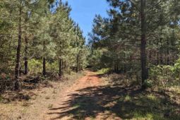 Old Hillcrest School Road photo 4