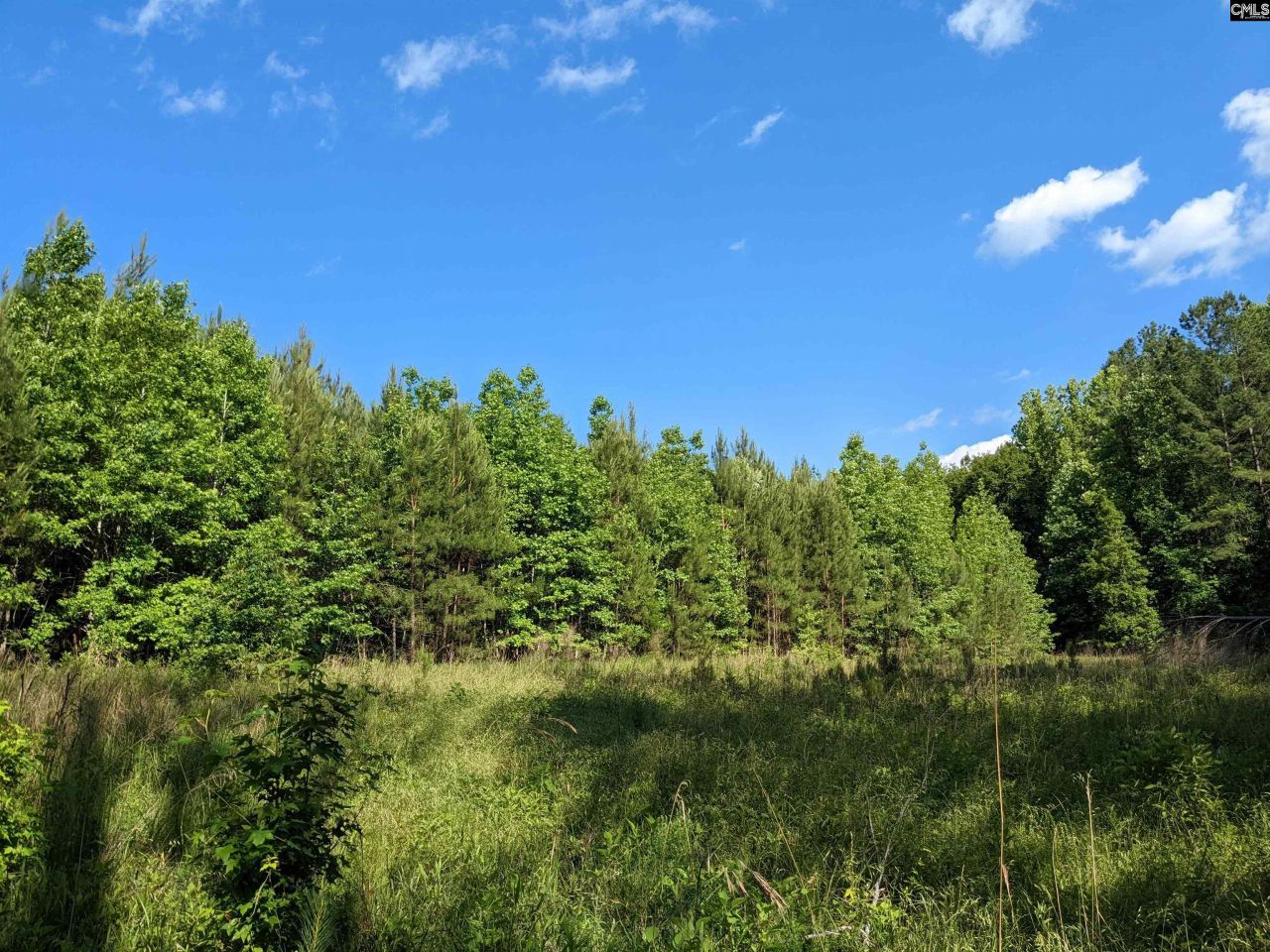 Old Hillcrest School Road Photo 7