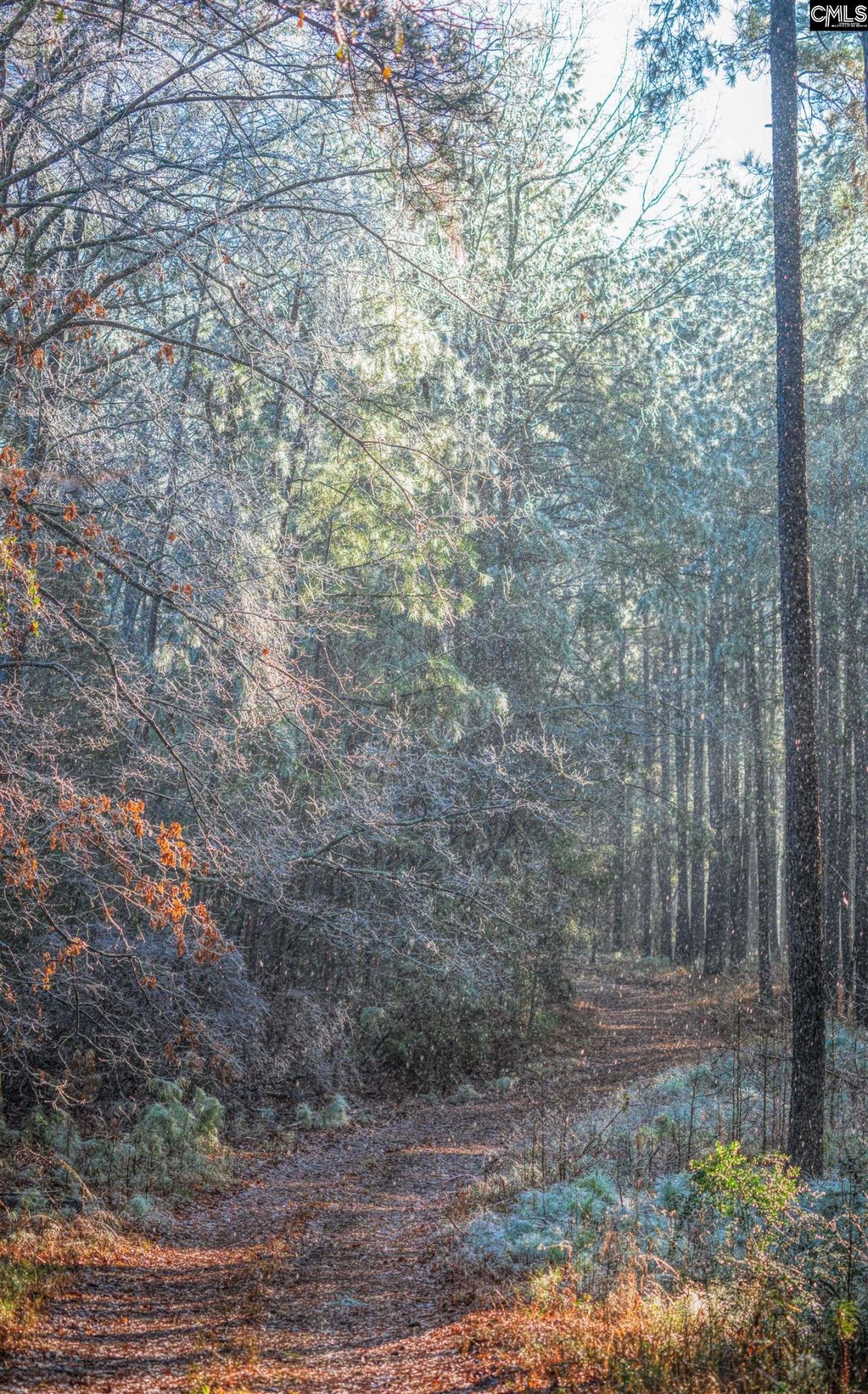 Old Hillcrest School Road Photo 88