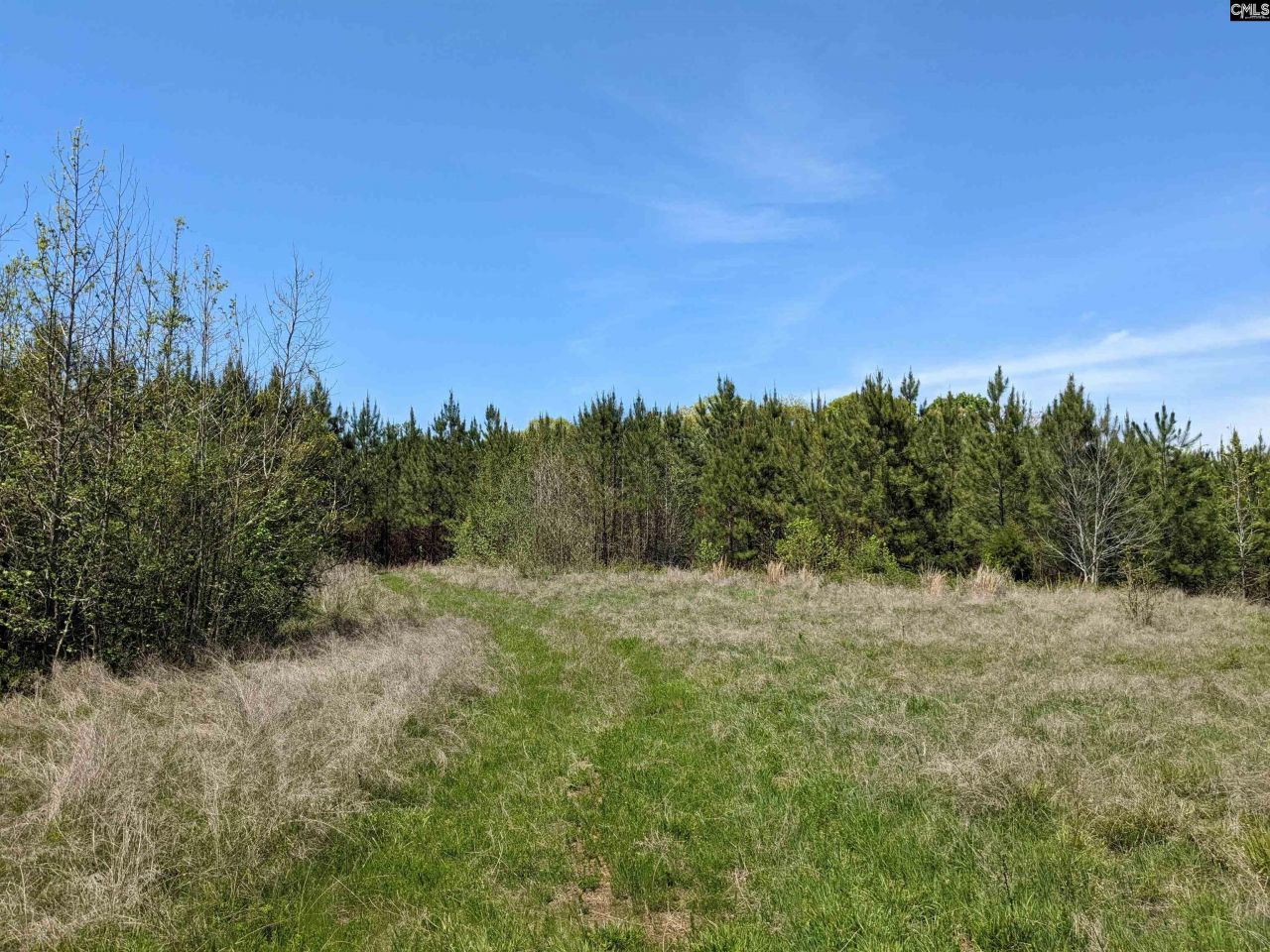 Old Hillcrest School Road Photo 9