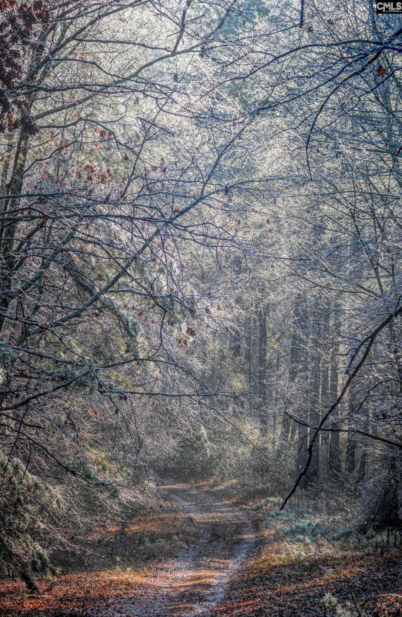 Old Hillcrest School Road Photo 90