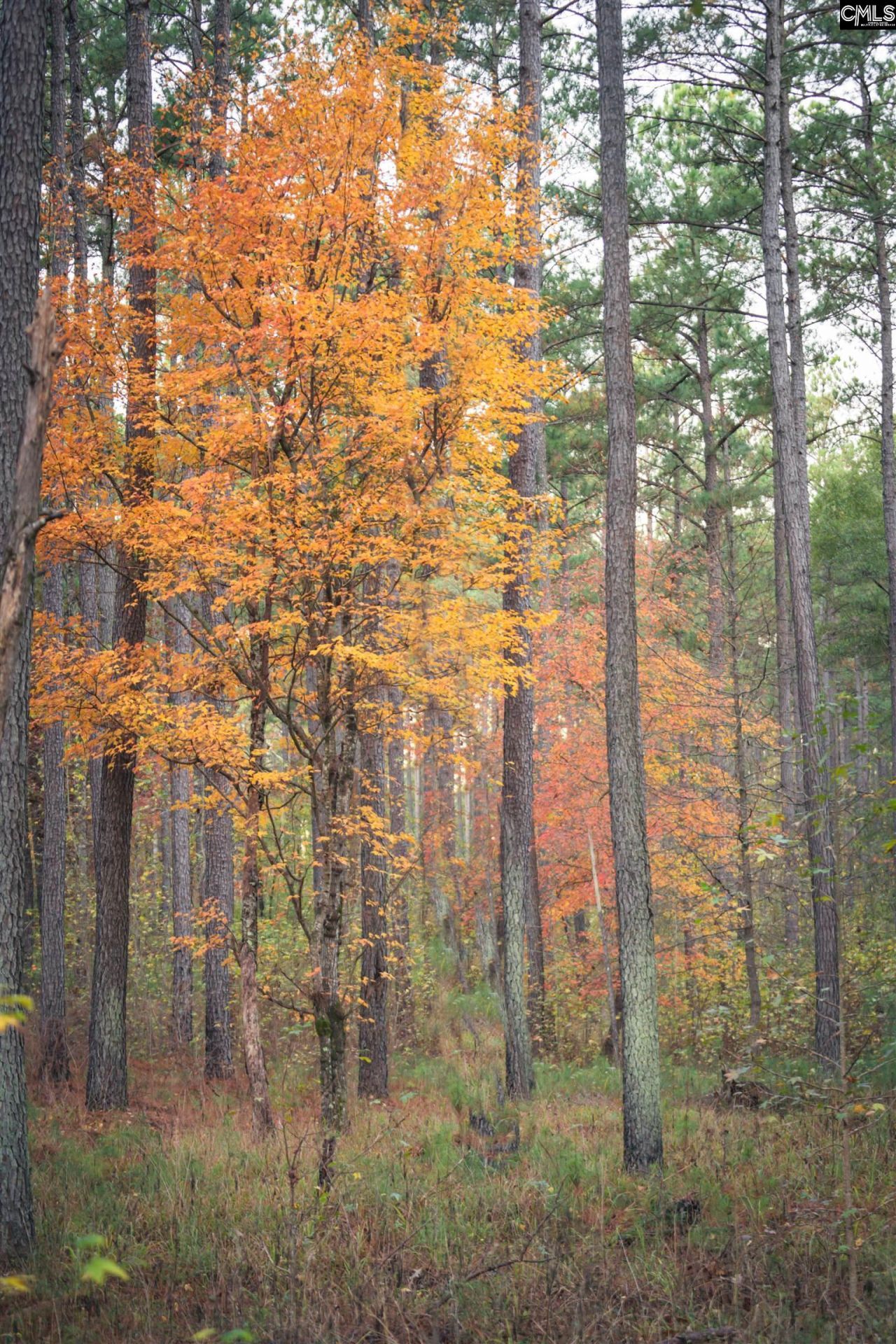 Old Hillcrest School Road Photo 91