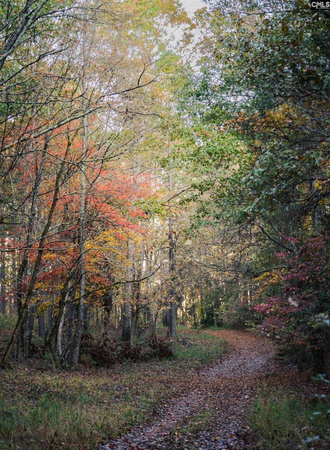 Old Hillcrest School Road Photo 92