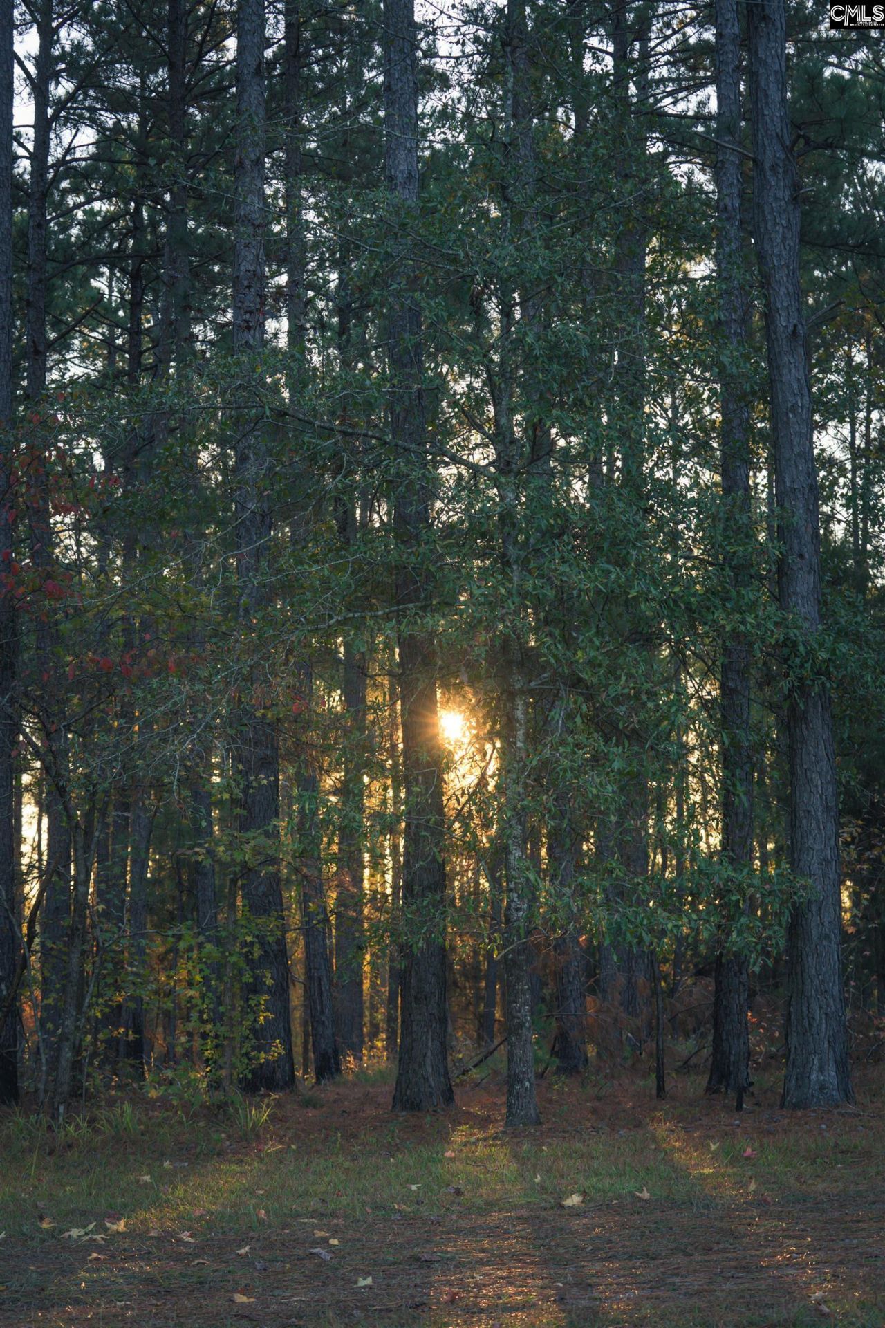 Old Hillcrest School Road Photo 96