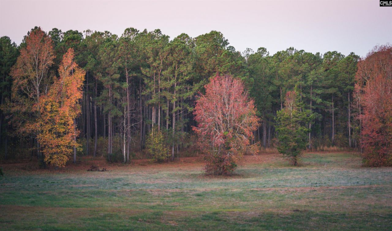 Old Hillcrest School Road Photo 97