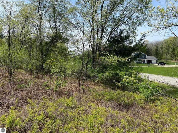 Crestview Drive, Cadillac, MI 49601