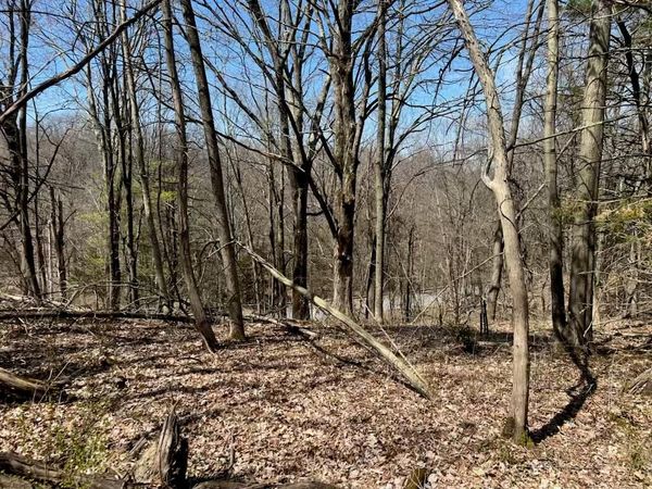 0 taghkanic, Elizaville, NY 00000