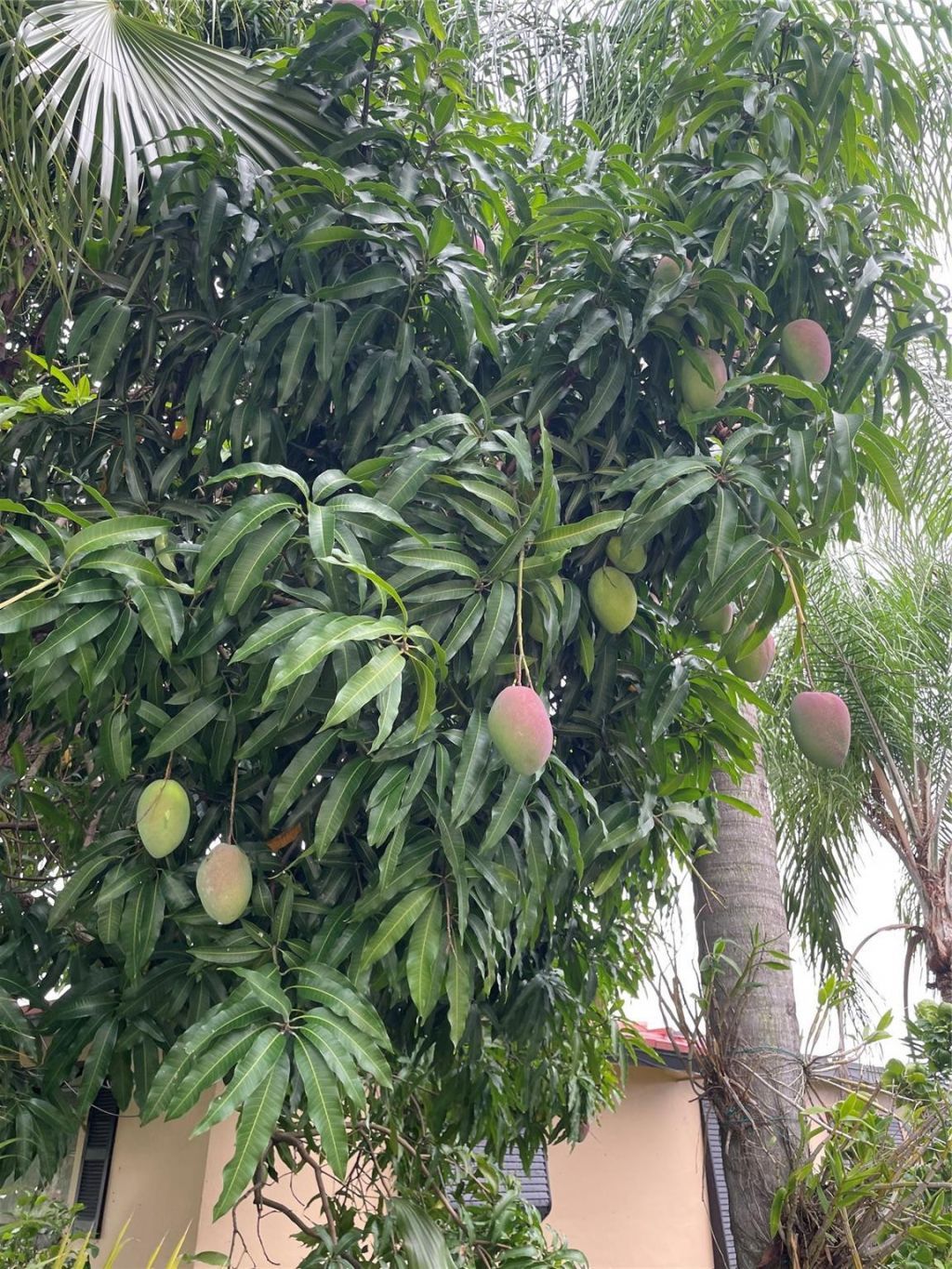 4401 NW 43 Avenue, Tamarac, FL 33319 Photo