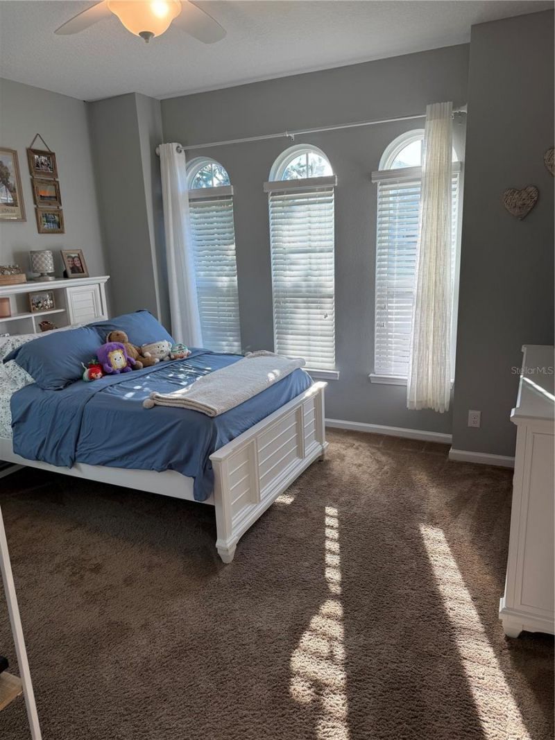 2504 Cavender Creek Road, Minneola, FL 34715 Photo