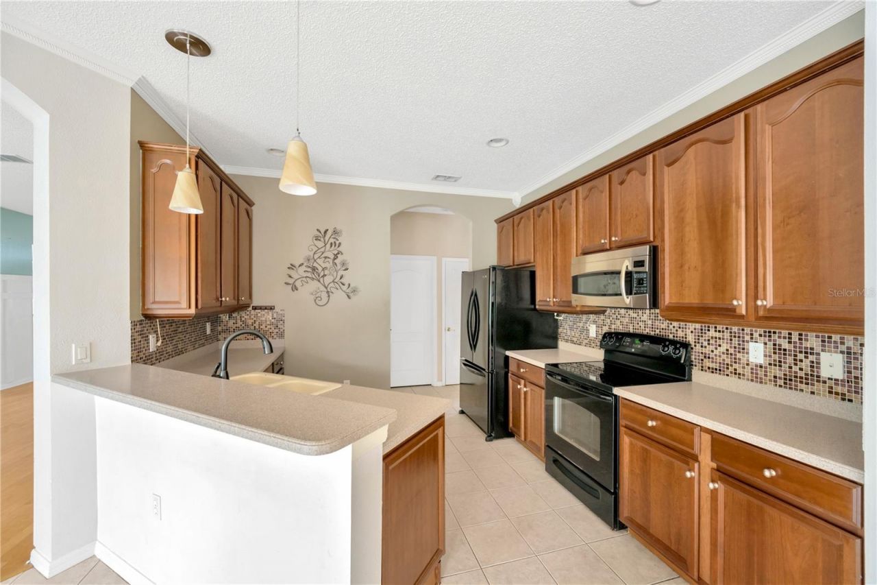 2321 Wood Pointe Drive, Holiday, FL 34691 Photo