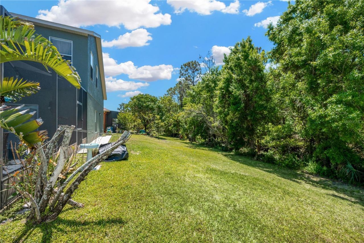 2321 Wood Pointe Drive, Holiday, FL 34691 Photo