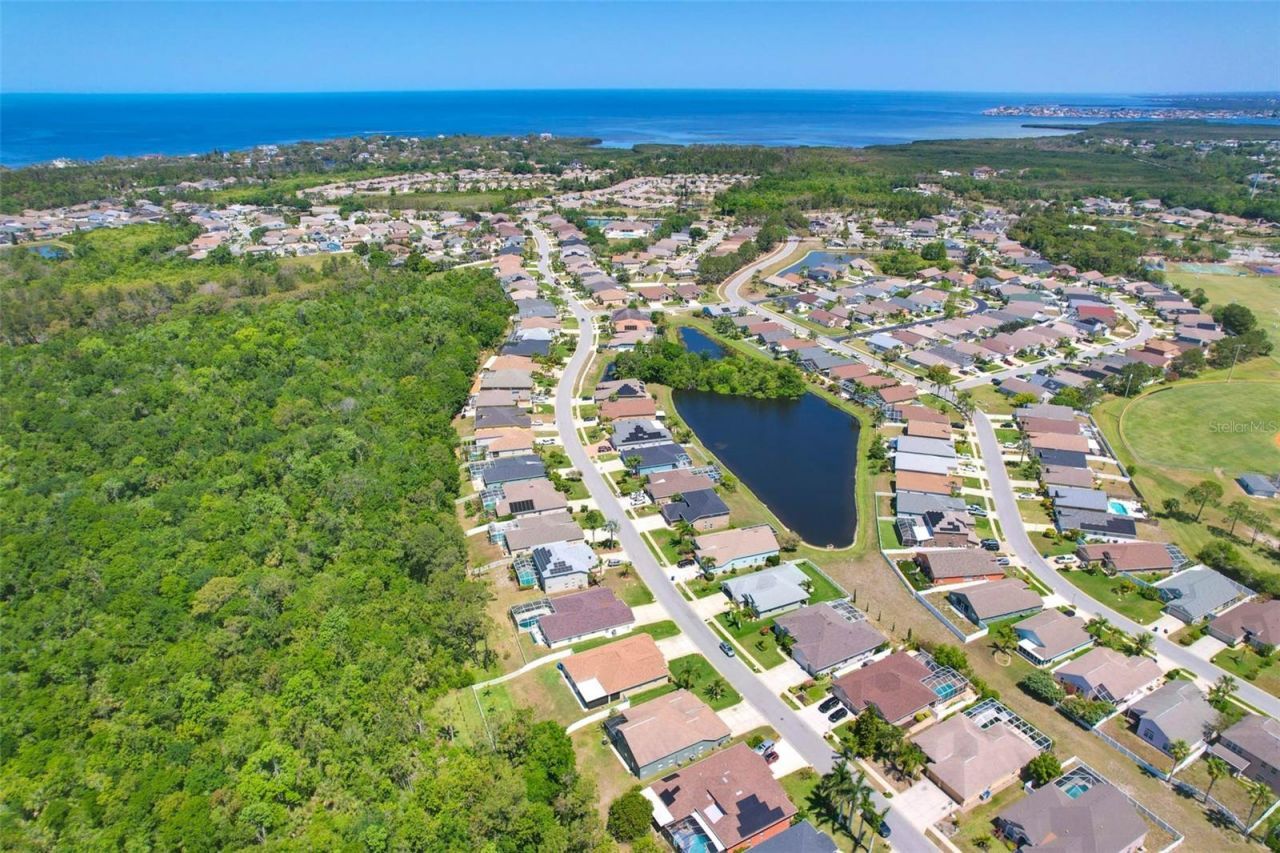 2321 Wood Pointe Drive, Holiday, FL 34691 Photo