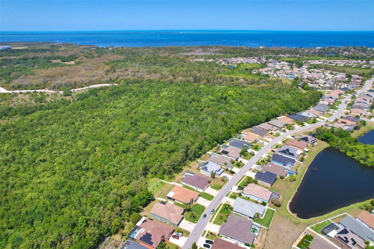 2321 Wood Pointe Drive, Holiday, FL 34691 Photo