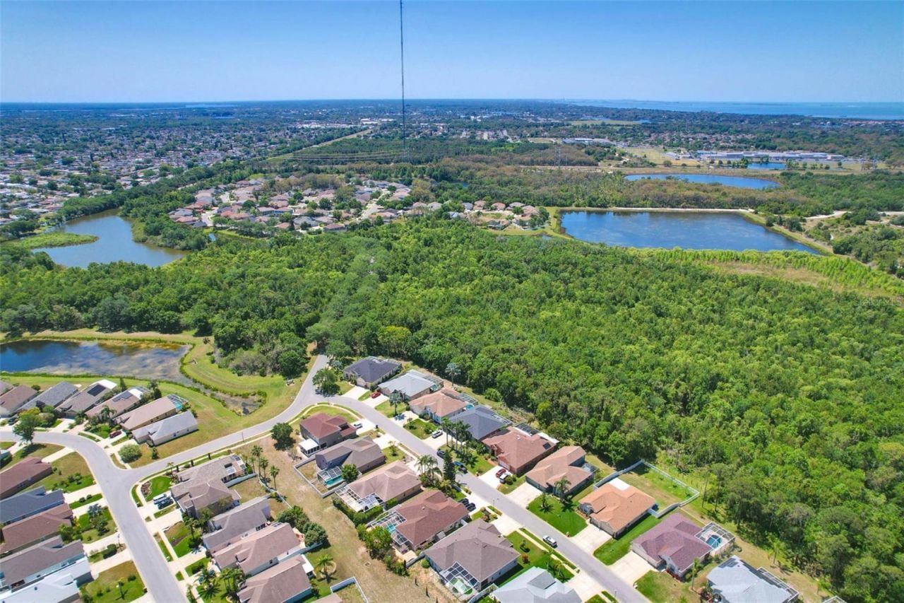 2321 Wood Pointe Drive, Holiday, FL 34691 Photo