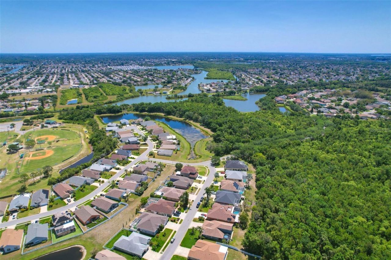 2321 Wood Pointe Drive, Holiday, FL 34691 Photo